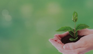 بازاریابی سبز گرین مارکتینگ